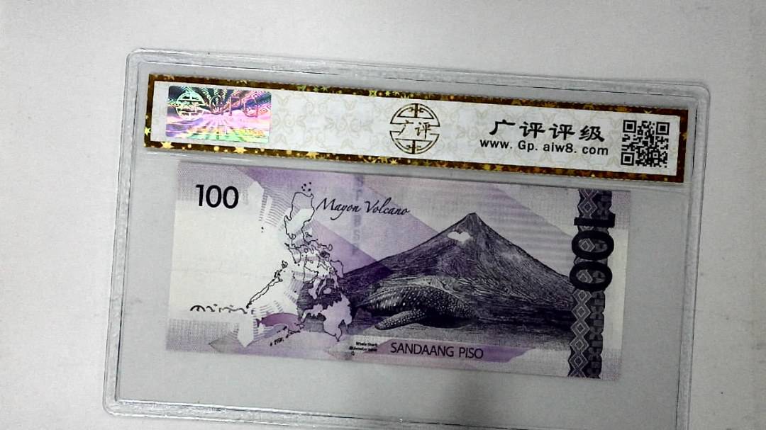 2019年100比索