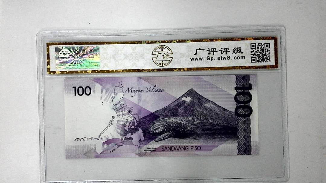 2019年100比索