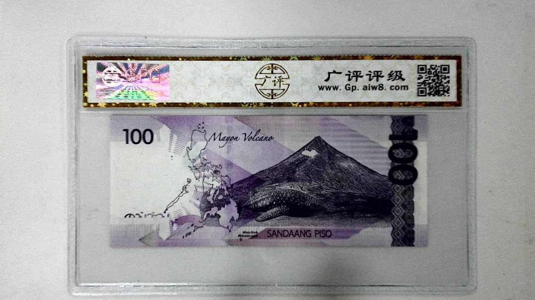 2019年100比索