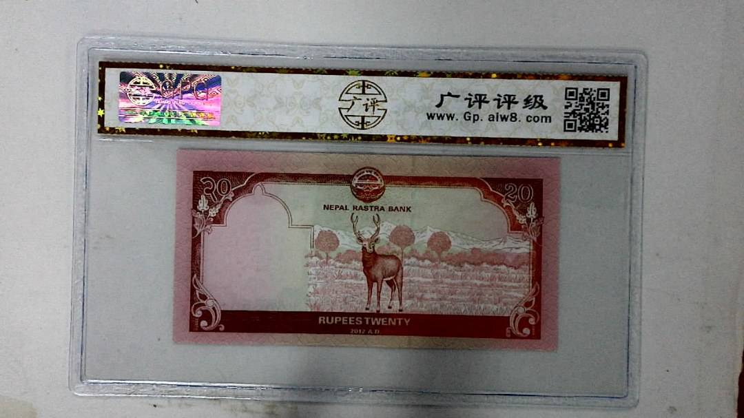 2021年20卢比
