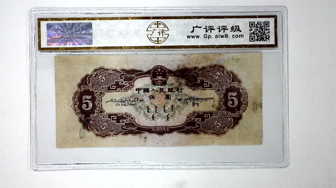 1956年伍圆