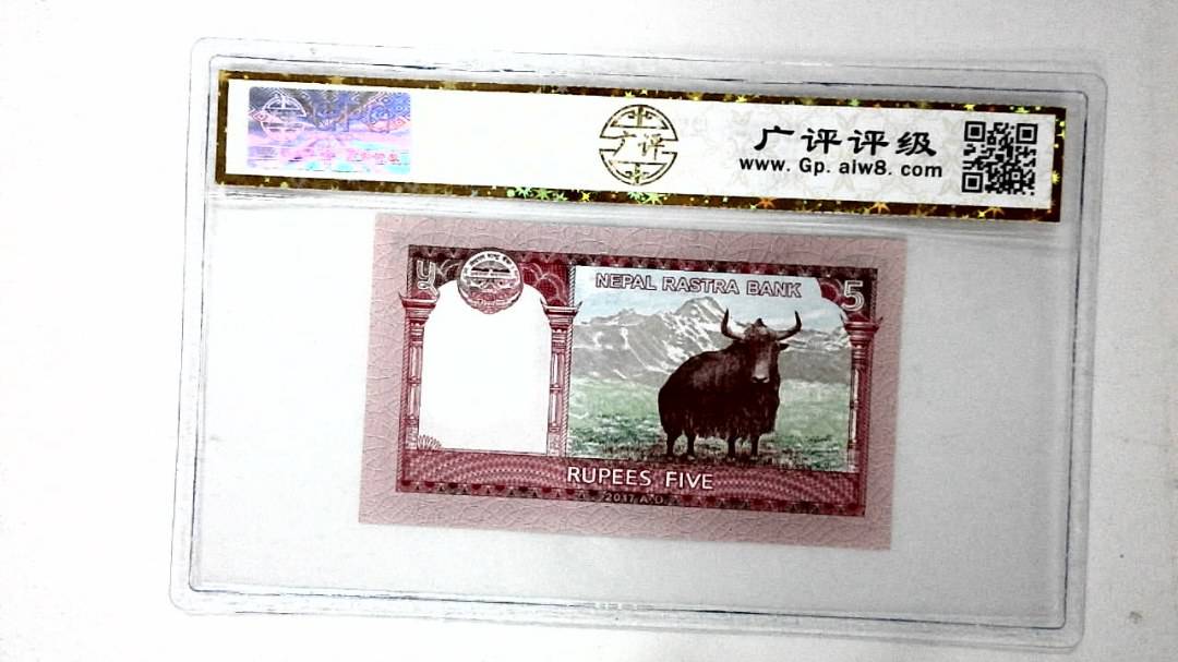 10卢比