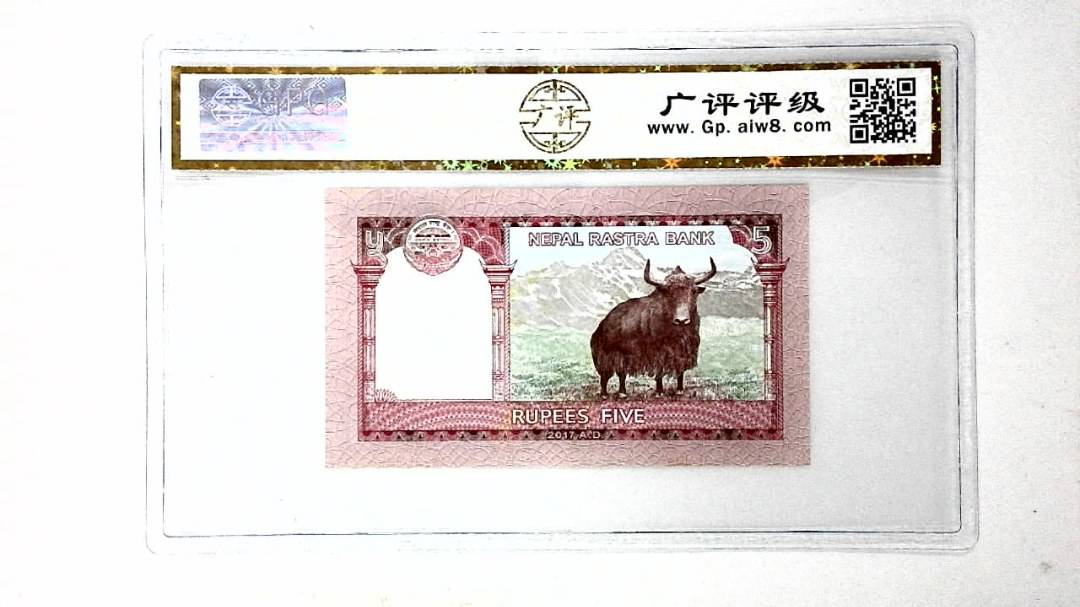 10卢比