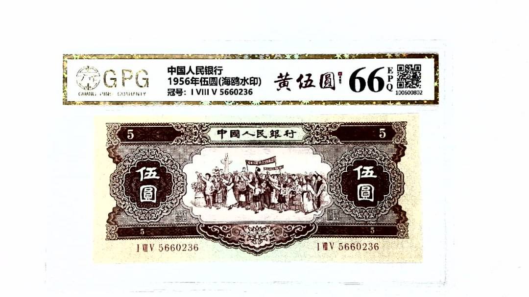 1956年伍圆(海鸥水印)