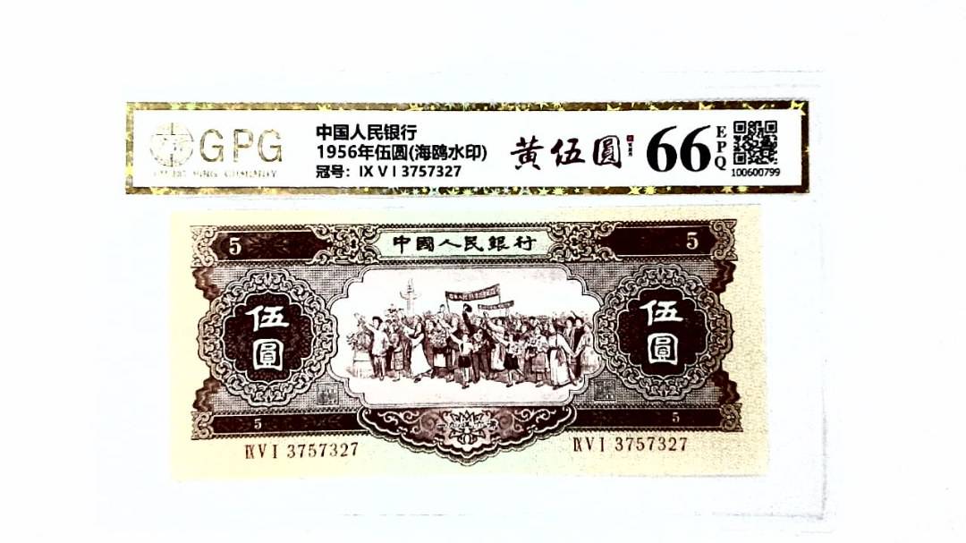 1956年伍圆(海鸥水印)
