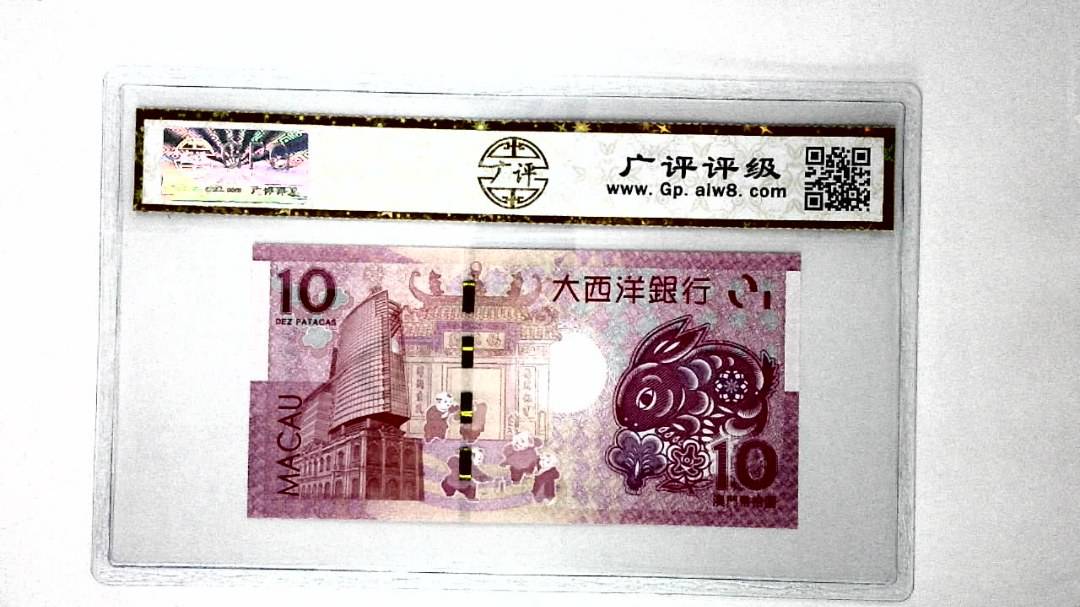 2023年澳门币生肖兔拾圆