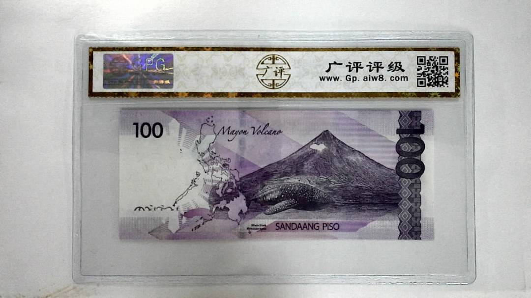 2019J100比索