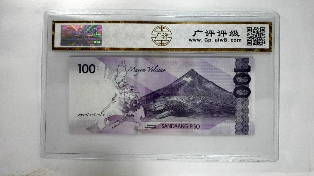 2019H100比索