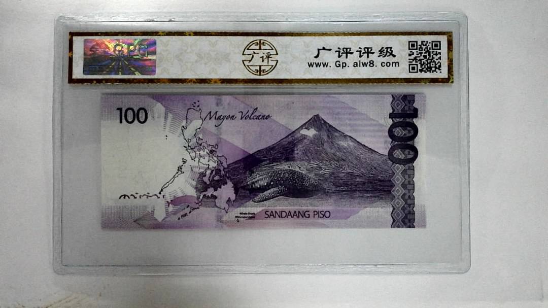 2019H100比索