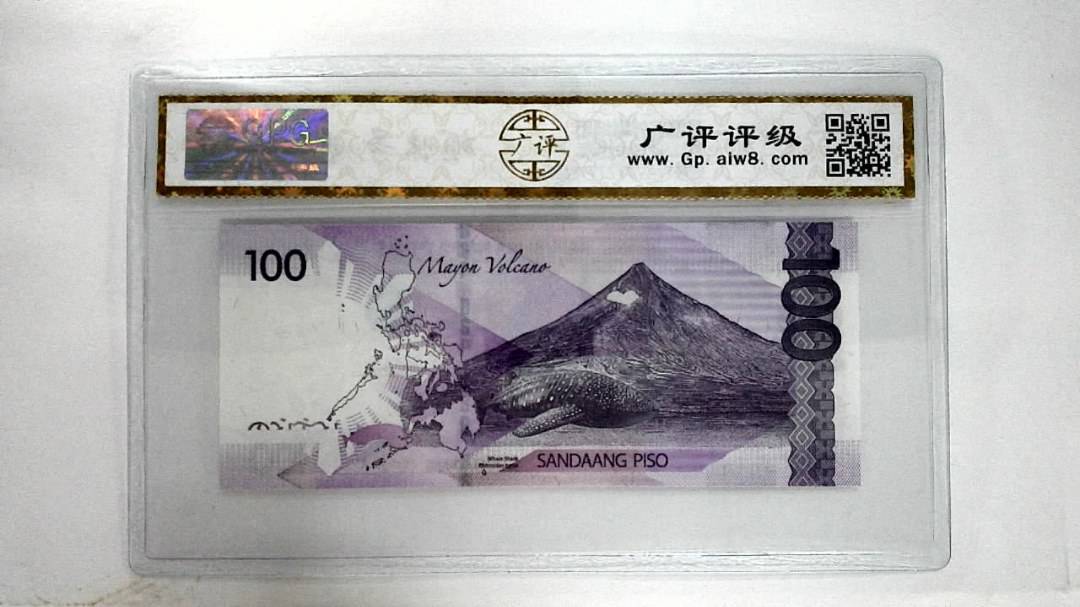 2019J100比索