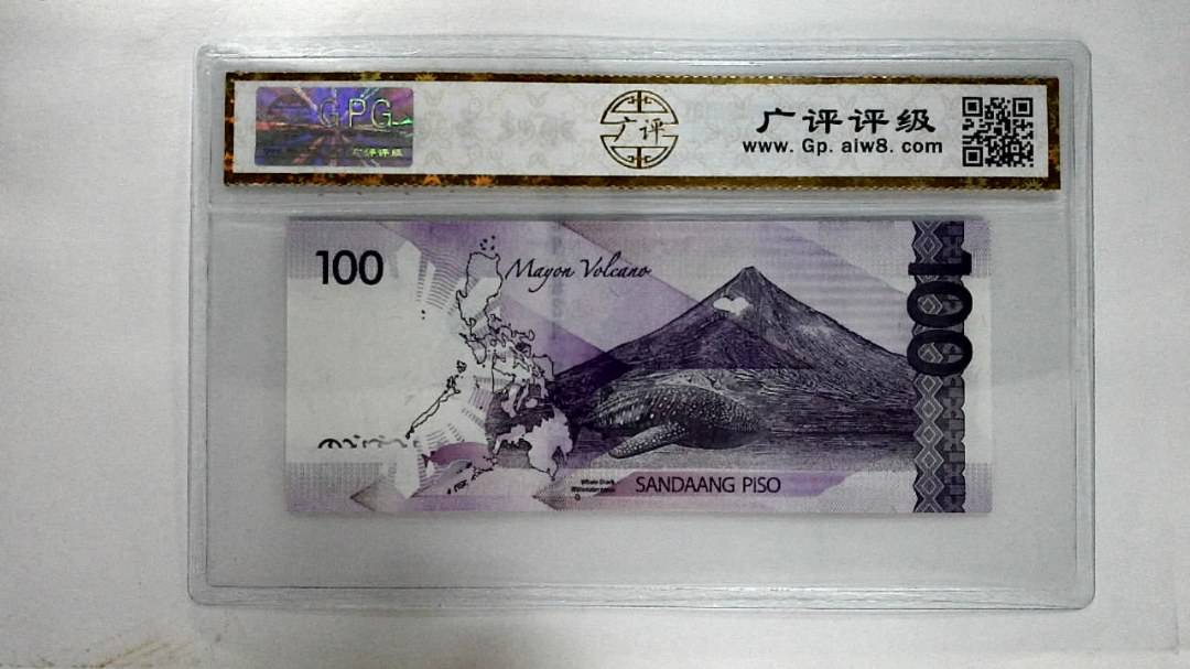 2019J100比索