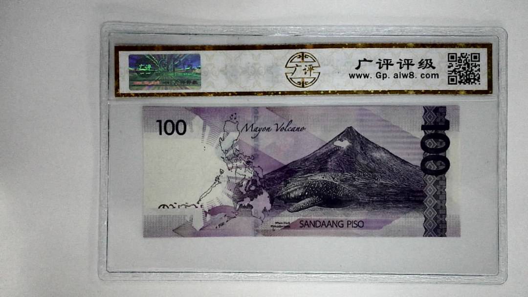 菲律宾纸币100比索