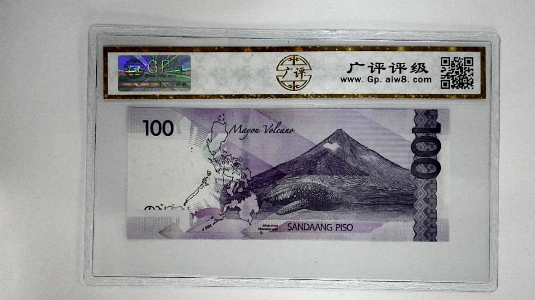 菲律宾纸币100比索