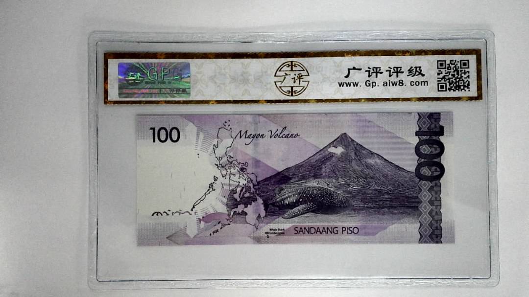 菲律宾纸币100比索