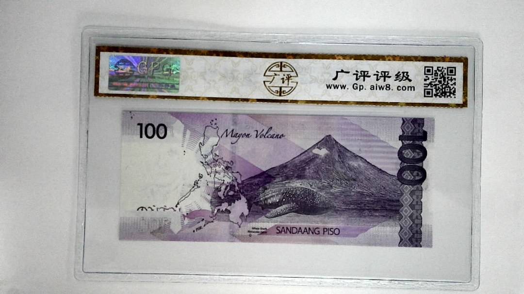 菲律宾纸币100比索