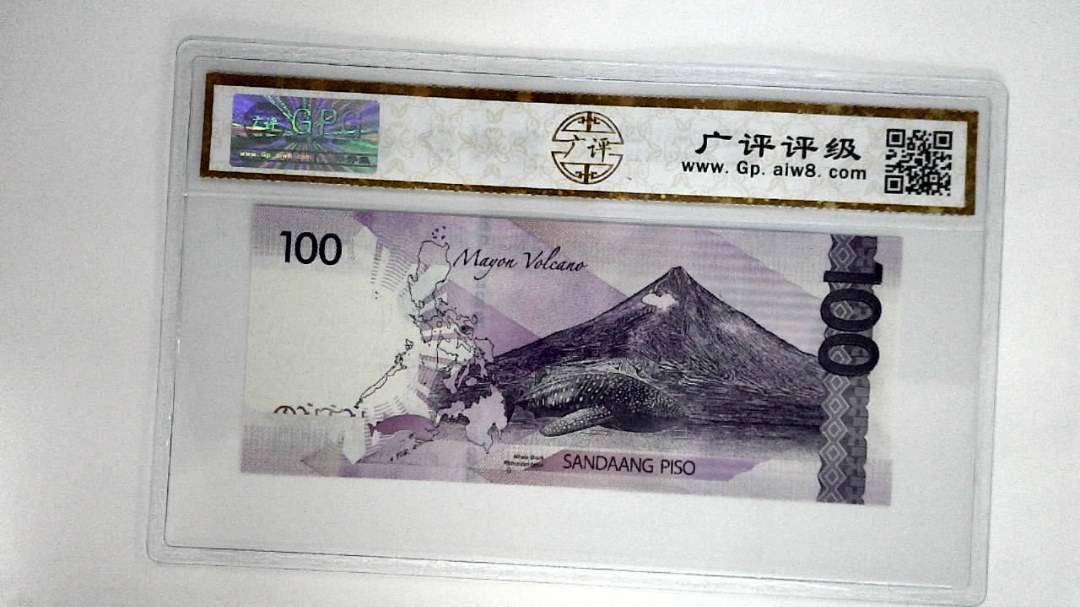 菲律宾纸币100比索