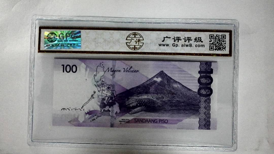 2020年100比索