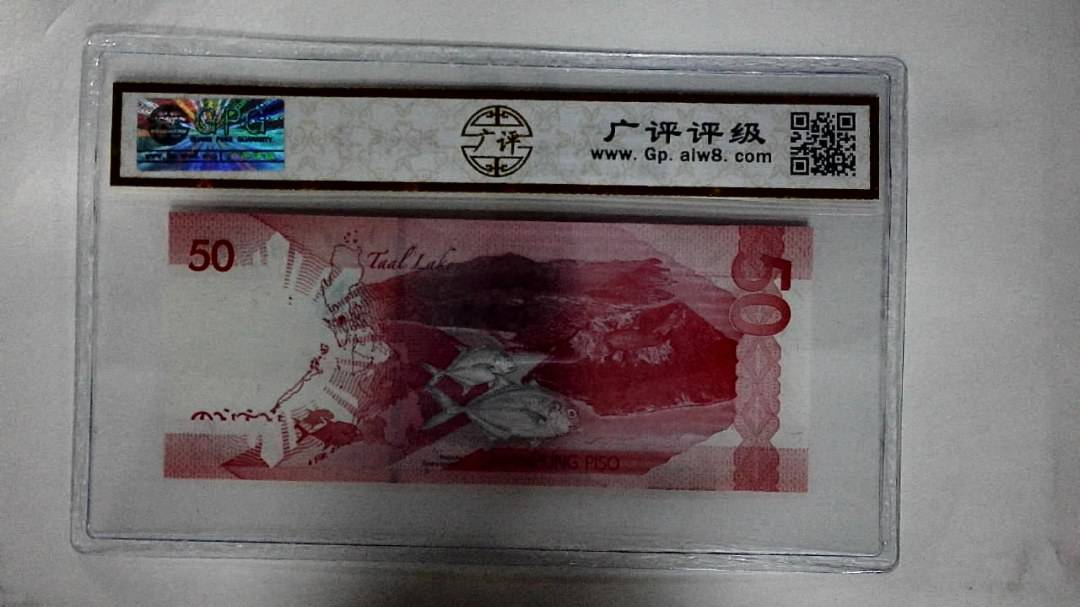 2019年100比索