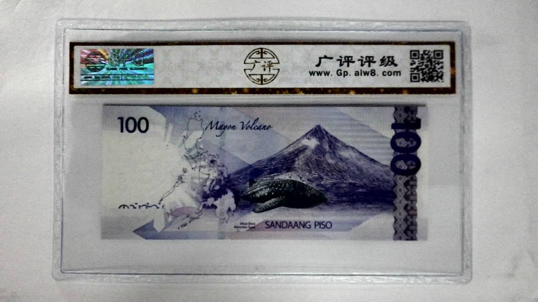 2013年100比索
