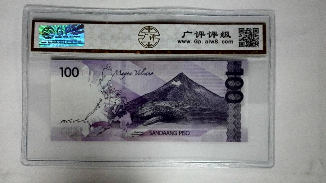 2020年100比索