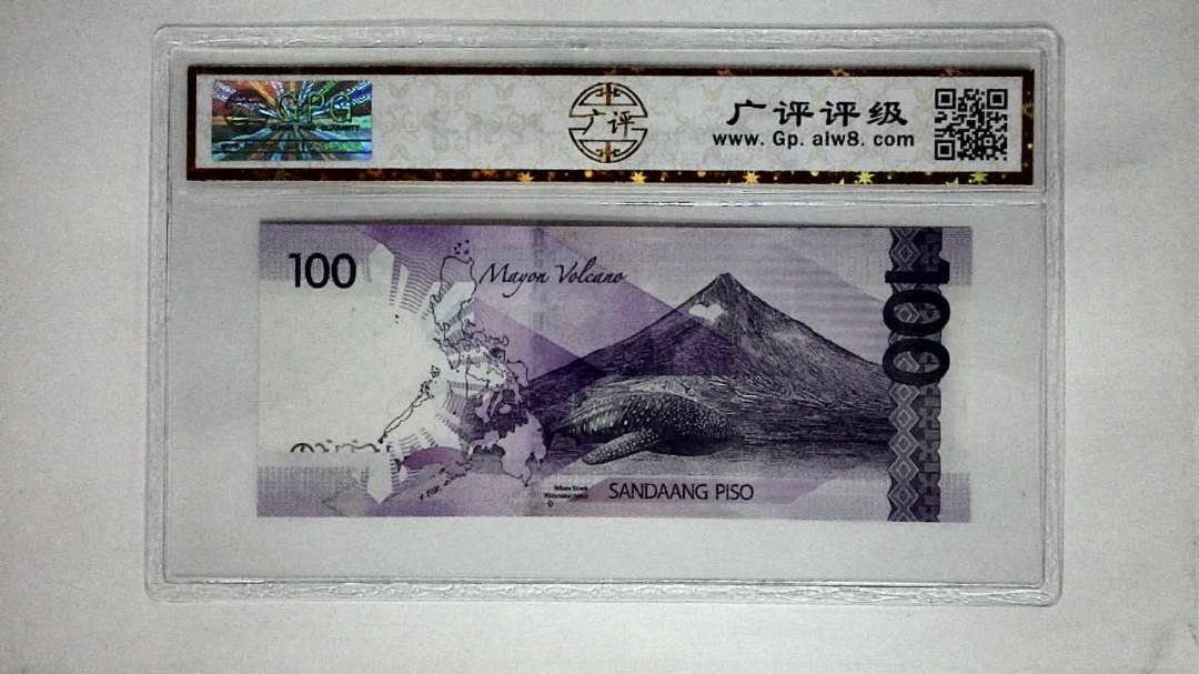 2019年(100比索)