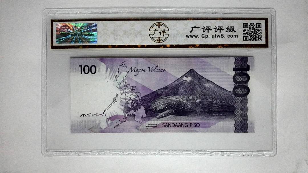 2019年(100比索)
