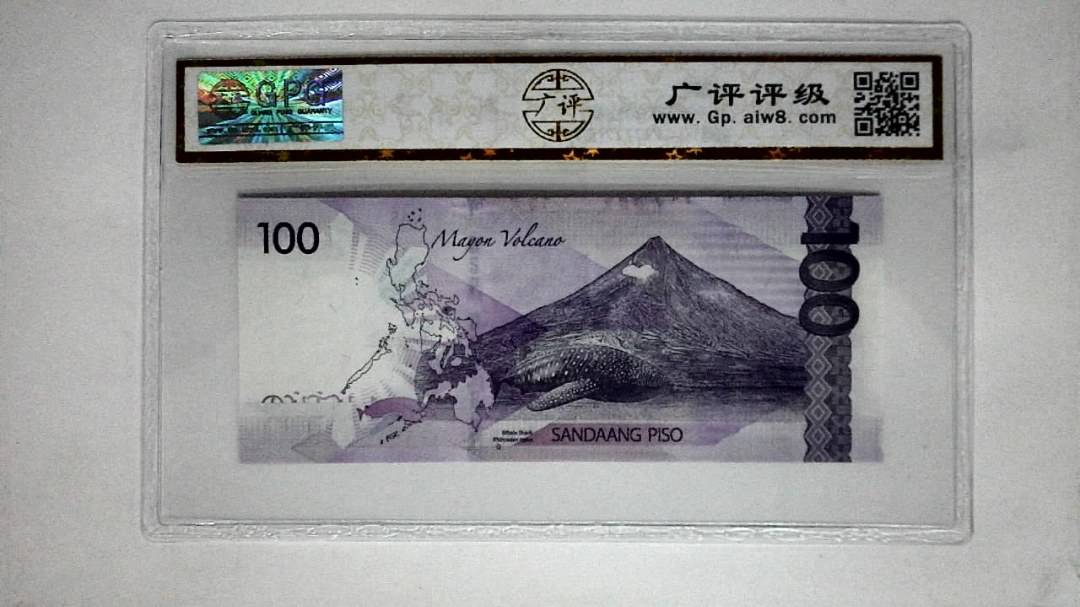 2019年(100比索)