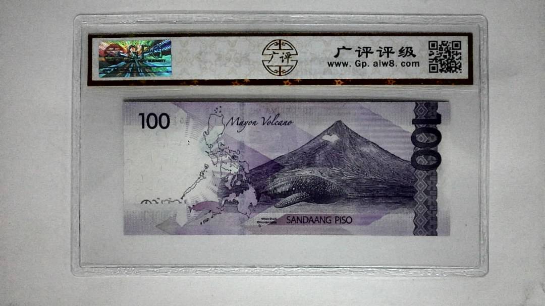 2019年(100比索)